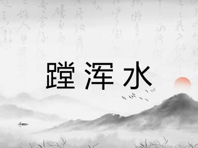 蹚浑水 蹚浑水