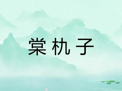 棠朹子