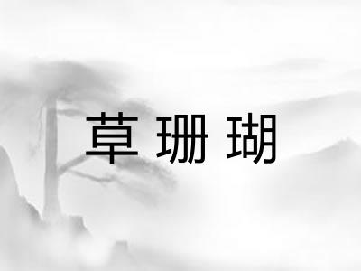 草珊瑚 草珊瑚