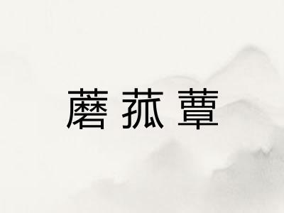 蘑菰蕈