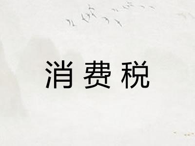 消费税 消费税