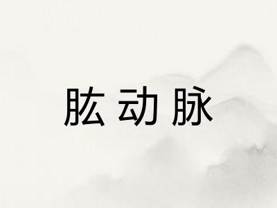 肱动脉 肱动脉