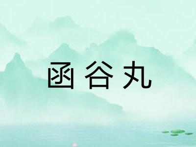 函谷丸 函谷丸