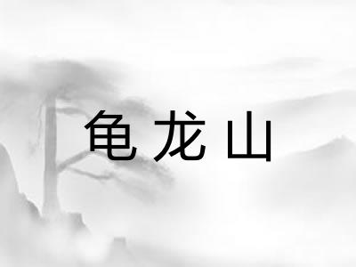 龟龙山