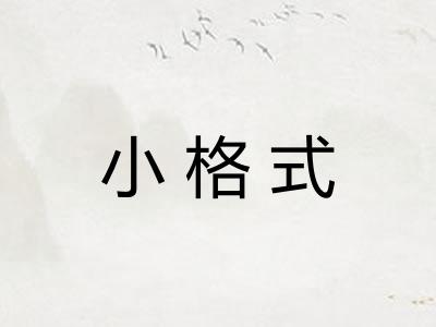 小格式