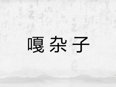 嘎杂子