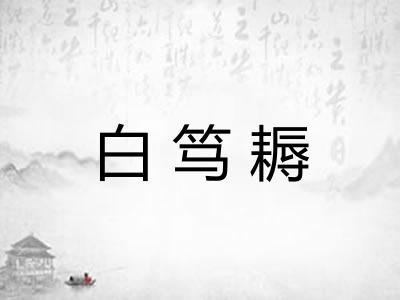 白笃耨