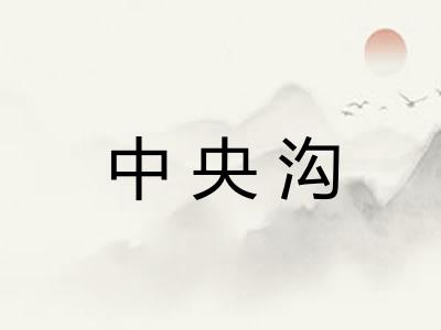 中央沟