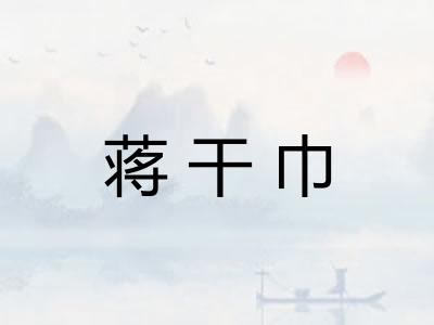 蒋干巾