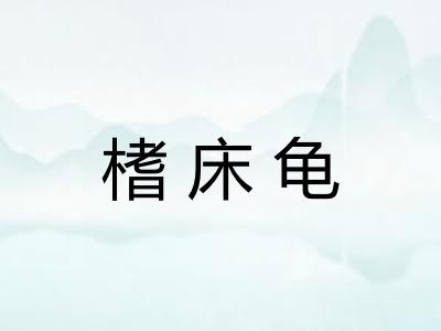 榰床龟