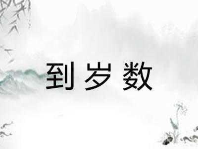 到岁数