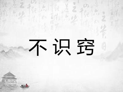 不识窍