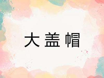 大盖帽 大盖帽