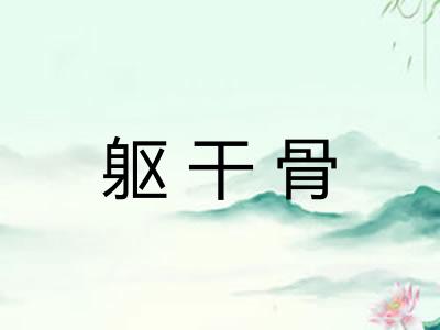 躯干骨