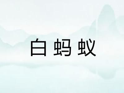 白蚂蚁