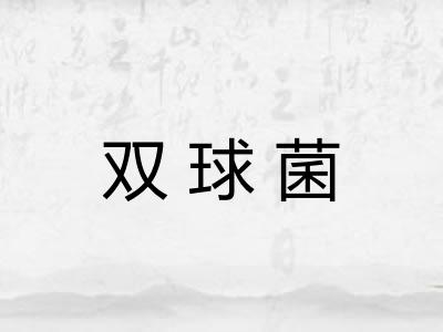 双球菌