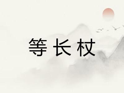 等长杖 等长杖
