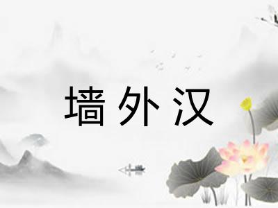 墙外汉