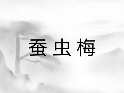 蚕虫梅