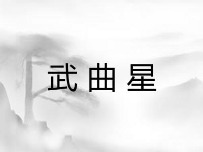 武曲星 武曲星