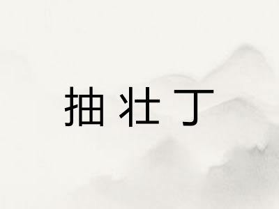 抽壮丁 抽壮丁
