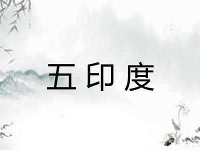 五印度 五印度