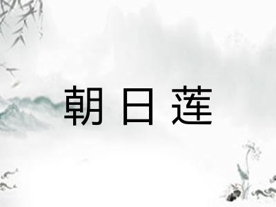 朝日莲