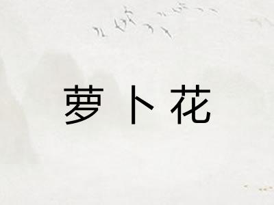 萝卜花