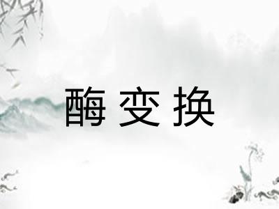 酶变换