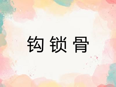 钩锁骨 钩锁骨