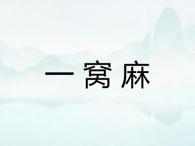 一窝麻