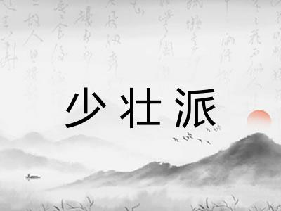 少壮派 少壮派