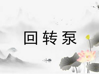 回转泵