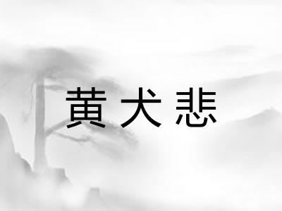 黄犬悲 黄犬悲