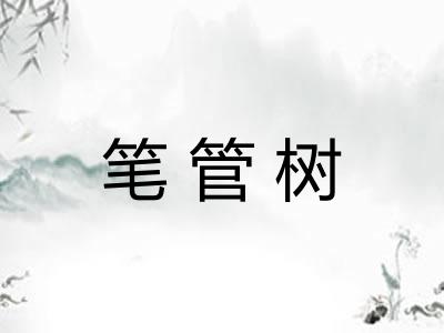 笔管树