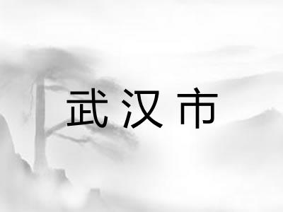 武汉市