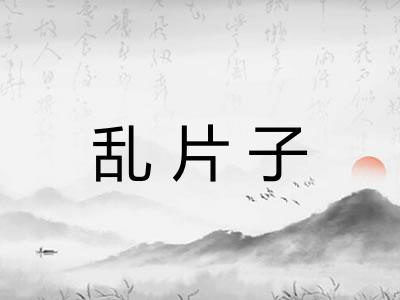 乱片子 乱片子