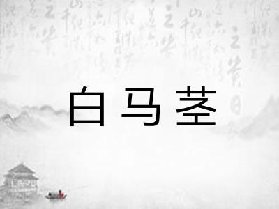 白马茎