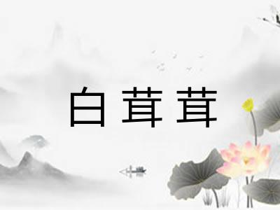 白茸茸