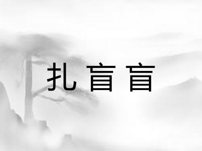 扎盲盲
