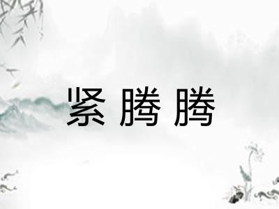 紧腾腾 紧腾腾