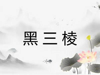 黑三棱 黑三棱