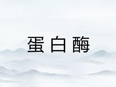 蛋白酶