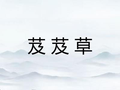 芨芨草 芨芨草