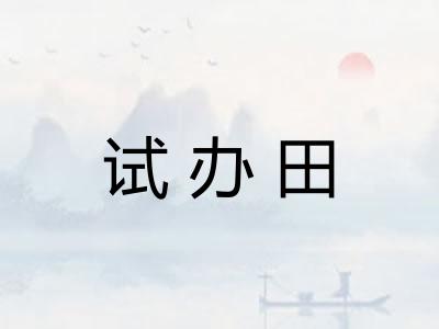 试办田 试办田