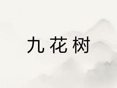 九花树 九花树