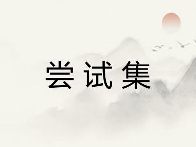 尝试集