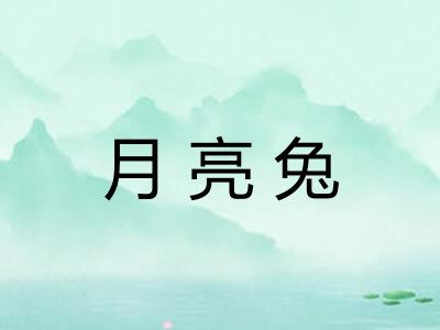月亮兔