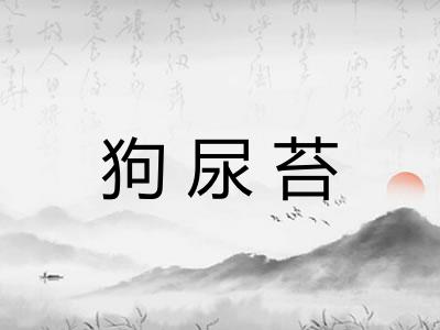 狗尿苔