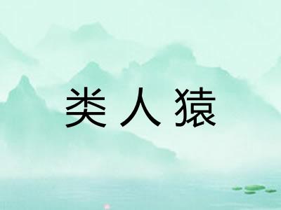 类人猿